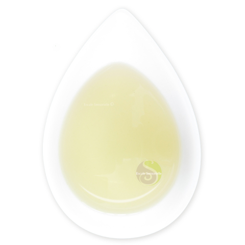Thé vert Kukicha (organic)