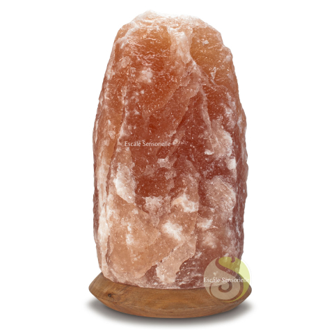Lampe électrique sel naturel brut d'Himalaya de 29 cm de hauteur