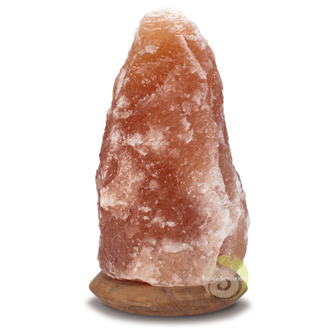 Lampe sel d'Himalaya