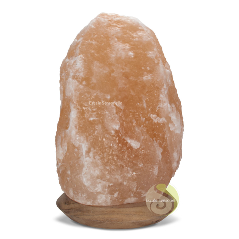 lampe sel brut naturel d'Himalaya de 27 cm de hauteur