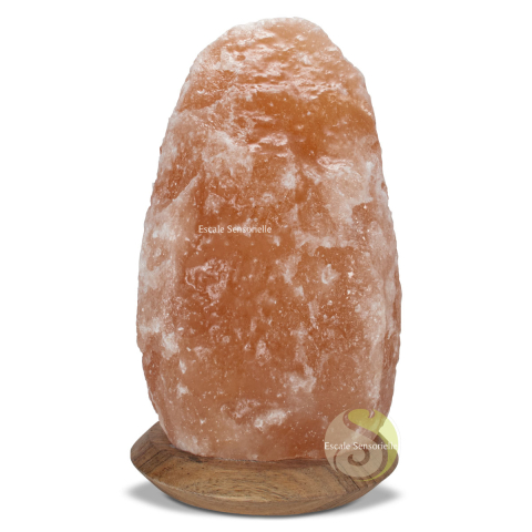Lampe ions négatifs sel naturel brut d'Himalaya de 27 cm