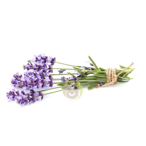 Eau florale de lavande Bio
