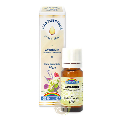 Lavandin Bio huile essentielle Biofloral bienfaits naturels