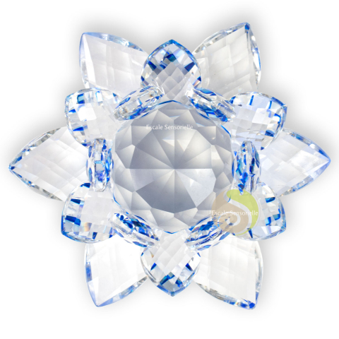 Lotus cristal bleu