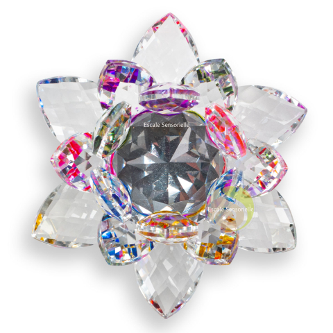 Lotus cristal multicolor sur plateau tournant
