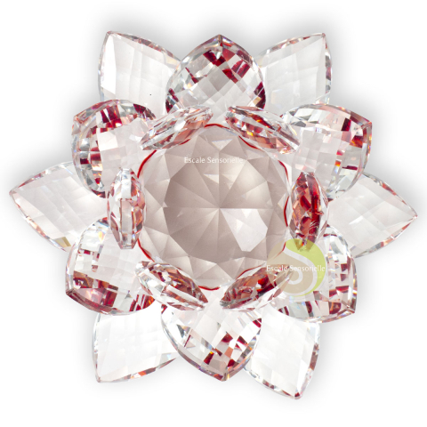Lotus cristal rouge