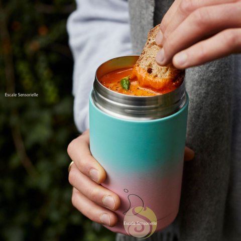 Boite repas pastel gradient