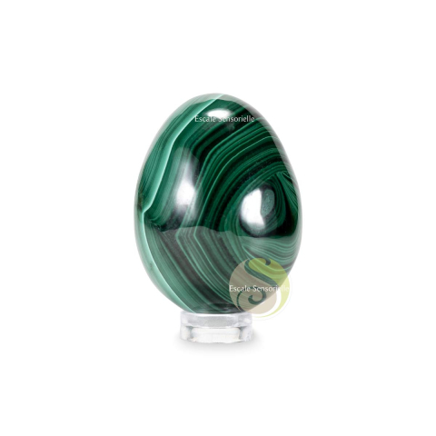 Oeuf en malachite pierre aux nuances de vert clair à foncé