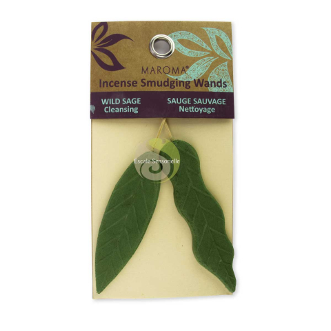 Feuilles d'encens sauge sauvage