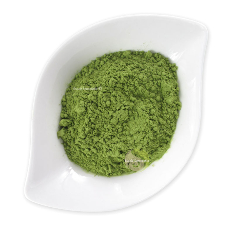 Thé matcha PREMIUM bio Hikari japonais pour cérémonie 