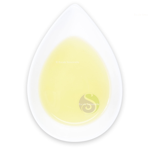 Thé vert japonais Bio Gyokuro Minori