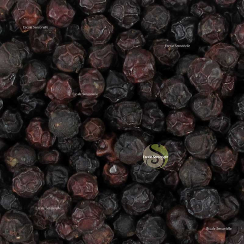 Poivre rouge de Mondolkiri