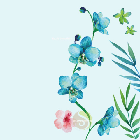 Pur monoï de Tahiti AO - Orchidée collector