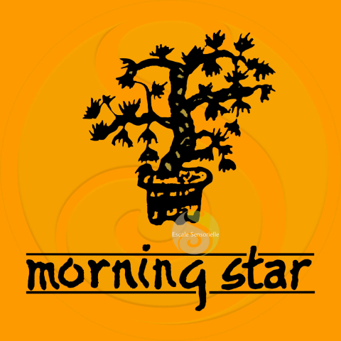 Encens ambre Morning Star 