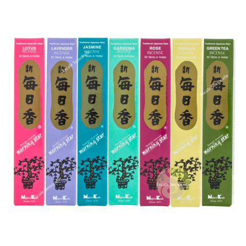 Collection 7 fragrances florales Morning Star 50 sticks avec support céramique