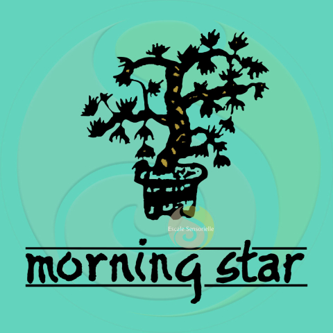 Encens gardénia Morning Star 