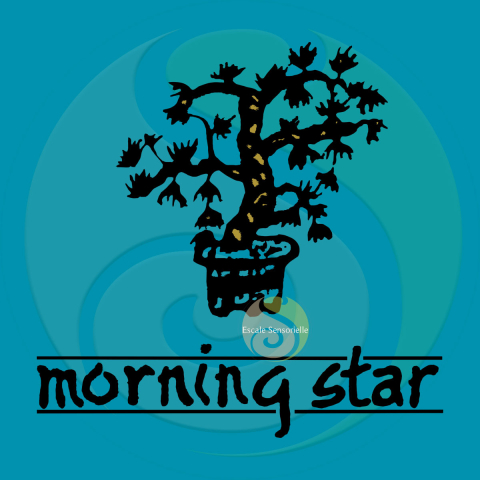 Encens jasmin Morning Star 