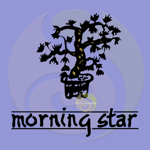 Encens lavande Morning Star 