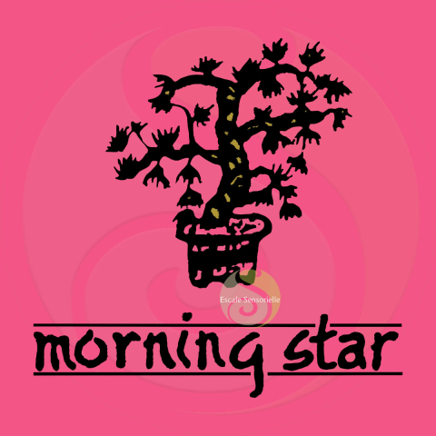 Encens lotus Morning Star 