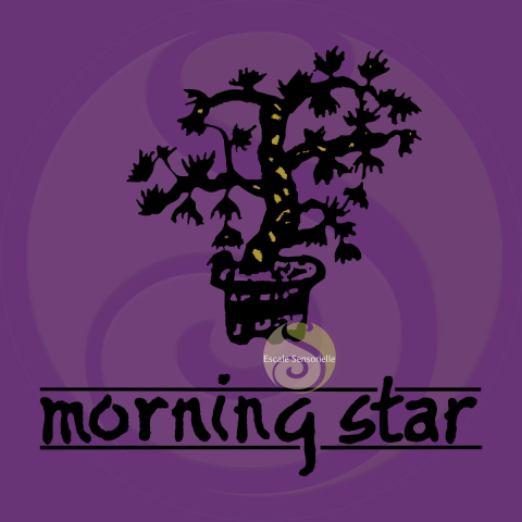 Encens musc Morning Star 