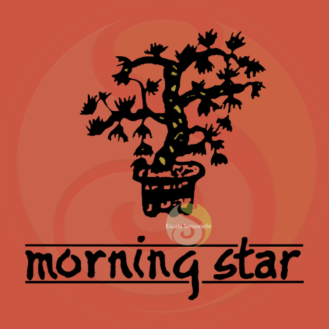 Encens myrrhe Morning Star 