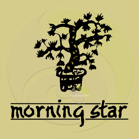 Encens palo santo Morning Star 