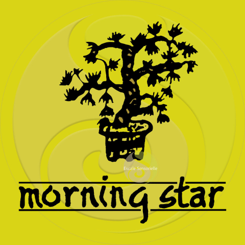 Encens patchouli Morning Star 