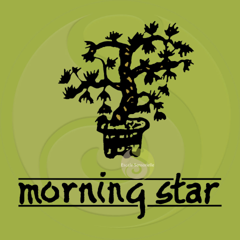 Encens pin Morning Star 