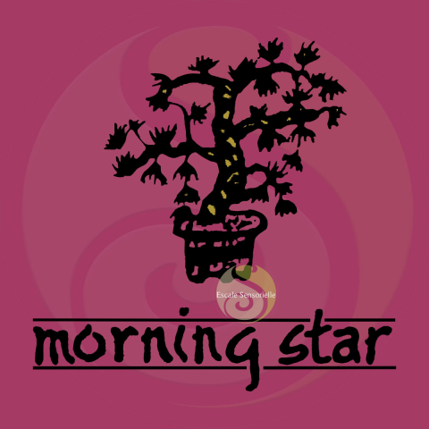 Encens rose Morning Star 