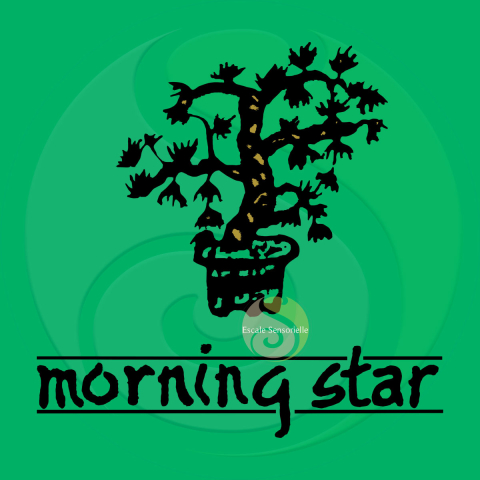 Encens sauge Morning Star 