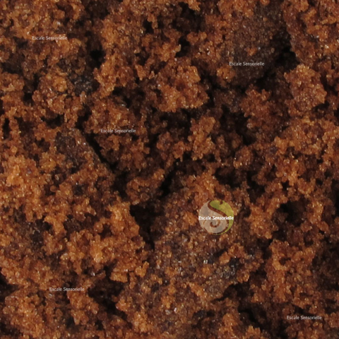 Sucre muscovado