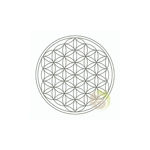 Gobelet fleur de vie platine Mythos
