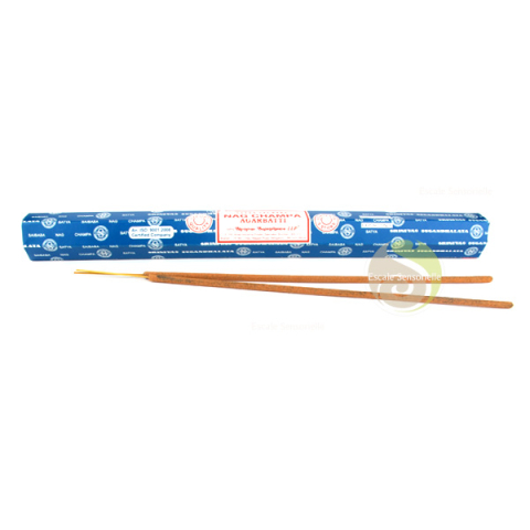 Encens de jardin Nag champa géant de Satya Argabatti