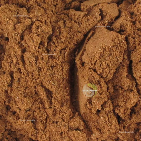 Pain d'épices (mélanges d'épices)