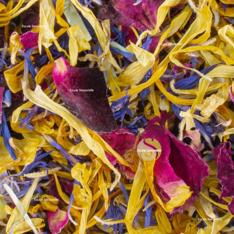 Pétales de fleurs comestibles