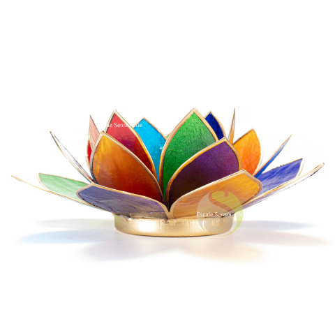 Photophore lotus capiz multicolore
