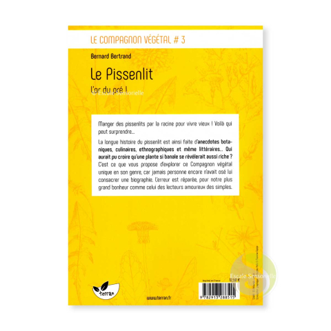 Le pissenlit