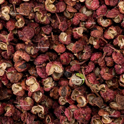 Poivre de Sichuan rouge entier