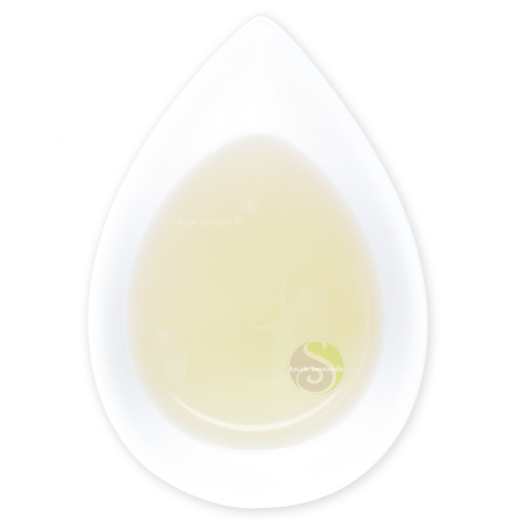 Thé oolong Pouchong organic