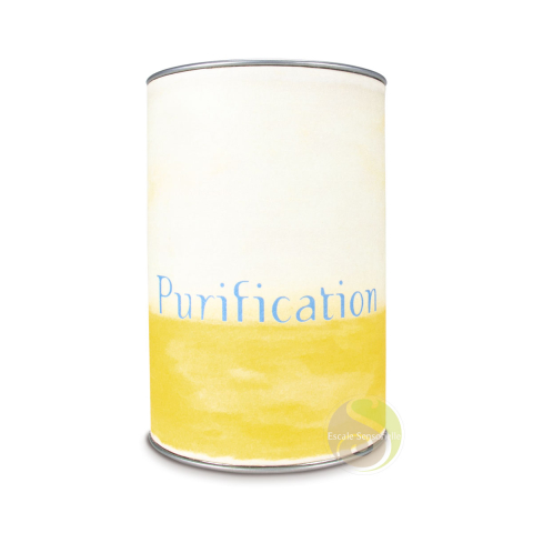 Encens purification nettoyage énergétique et microbien