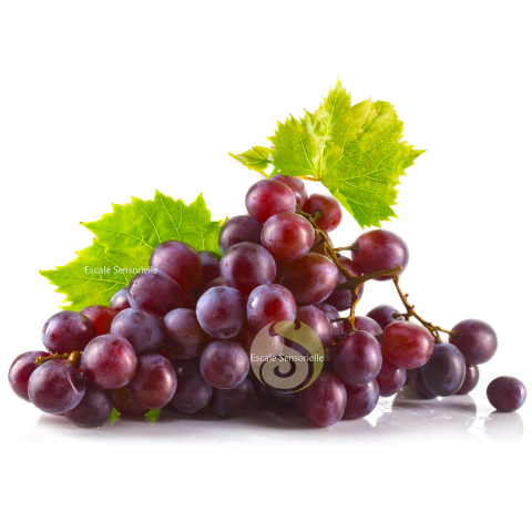 Savon marbré resvératrol Bio