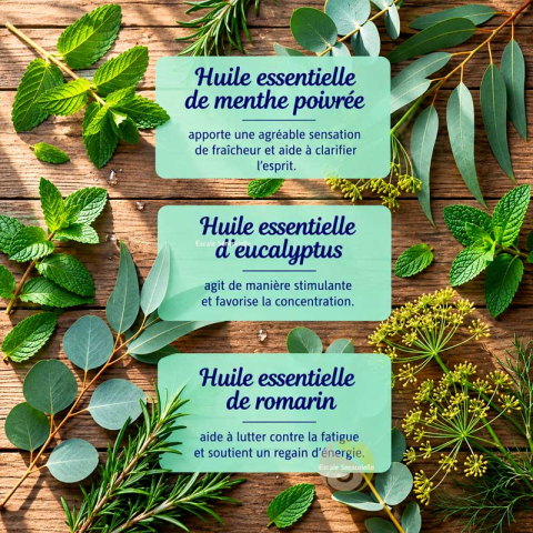 Sauna Aufguss mélange de plantes