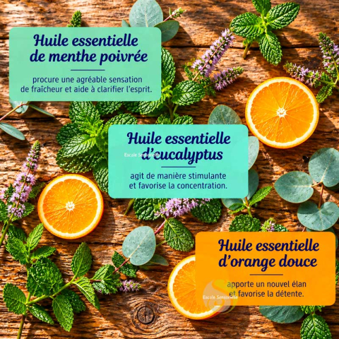 Sauna Aufguss menthe japonaise