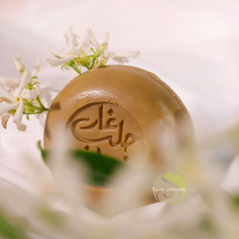 Savon d'Alep au jasmin bio 