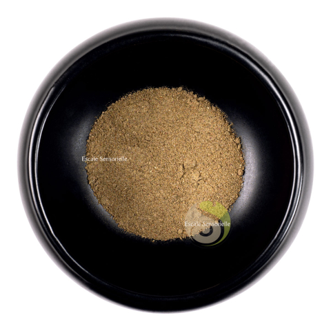Sel de gemme aux herbes d'Hildegarde de Binden