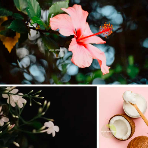 Sel de bain "Brise tropical"