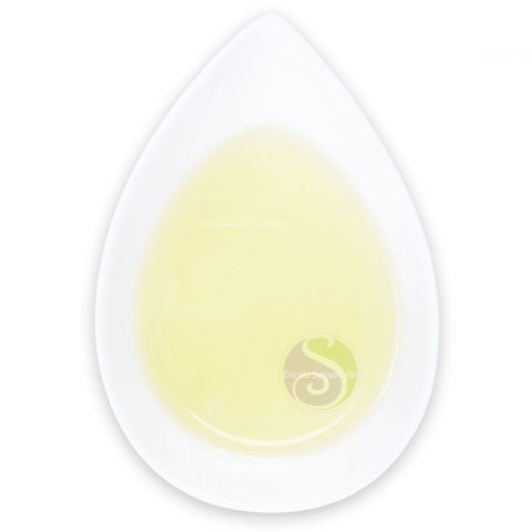 Thé vert japonais Bio Shimizu