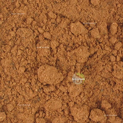 Spéculoos (mélange d'épices)