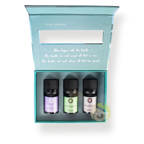 Coffret d'huiles essentielles Breathe