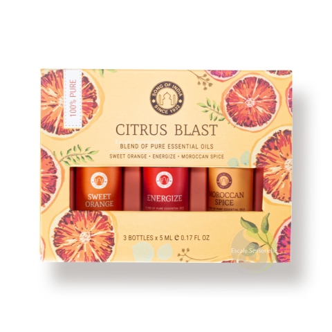 Coffret d'huiles essentielles citrus blast synergie 100% pure